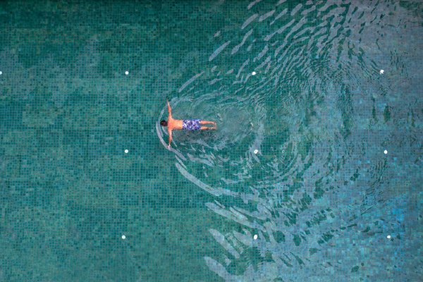 Revolutionizing home gardening: how new innovations are changing the way we cultivate at home